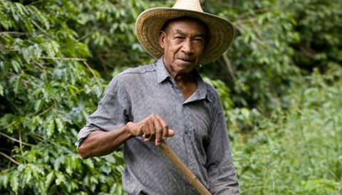 Colombiaanse Boer vindt 600 miljoen USD in zijn tuin van Pablo Escobar